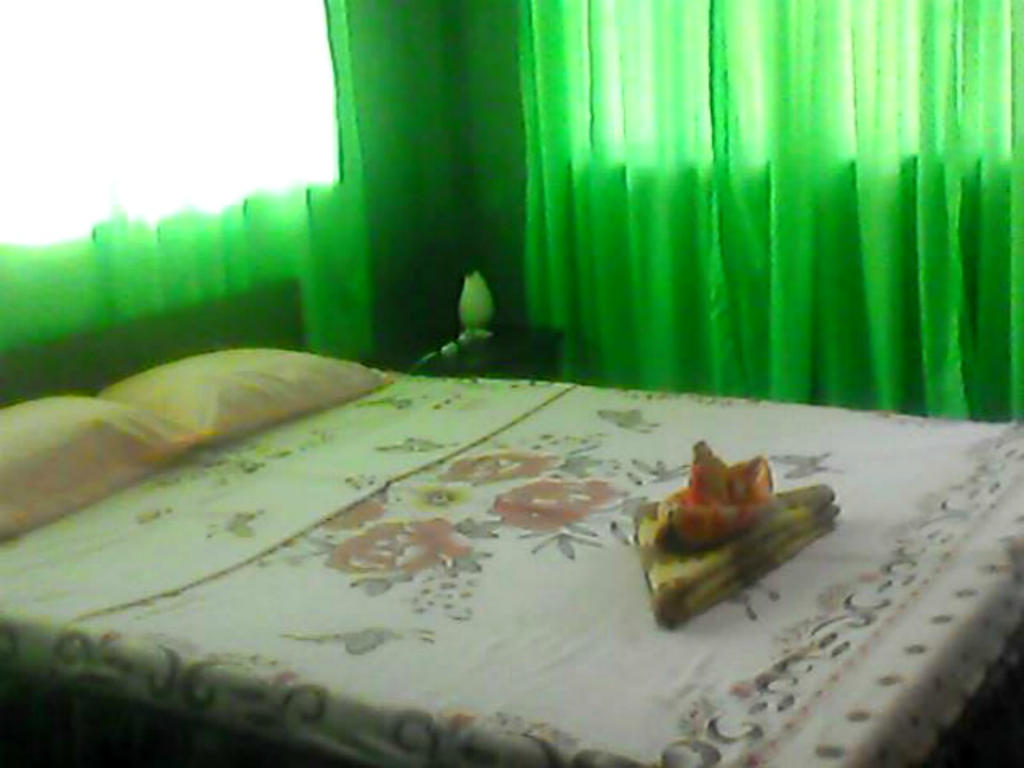 7P2 Bed And Breakfast Carmen  Dış mekan fotoğraf